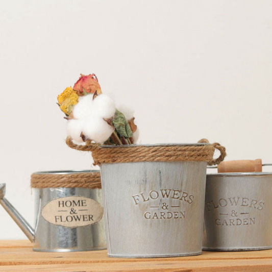 Mini Garden Buckets for Indoor Plants