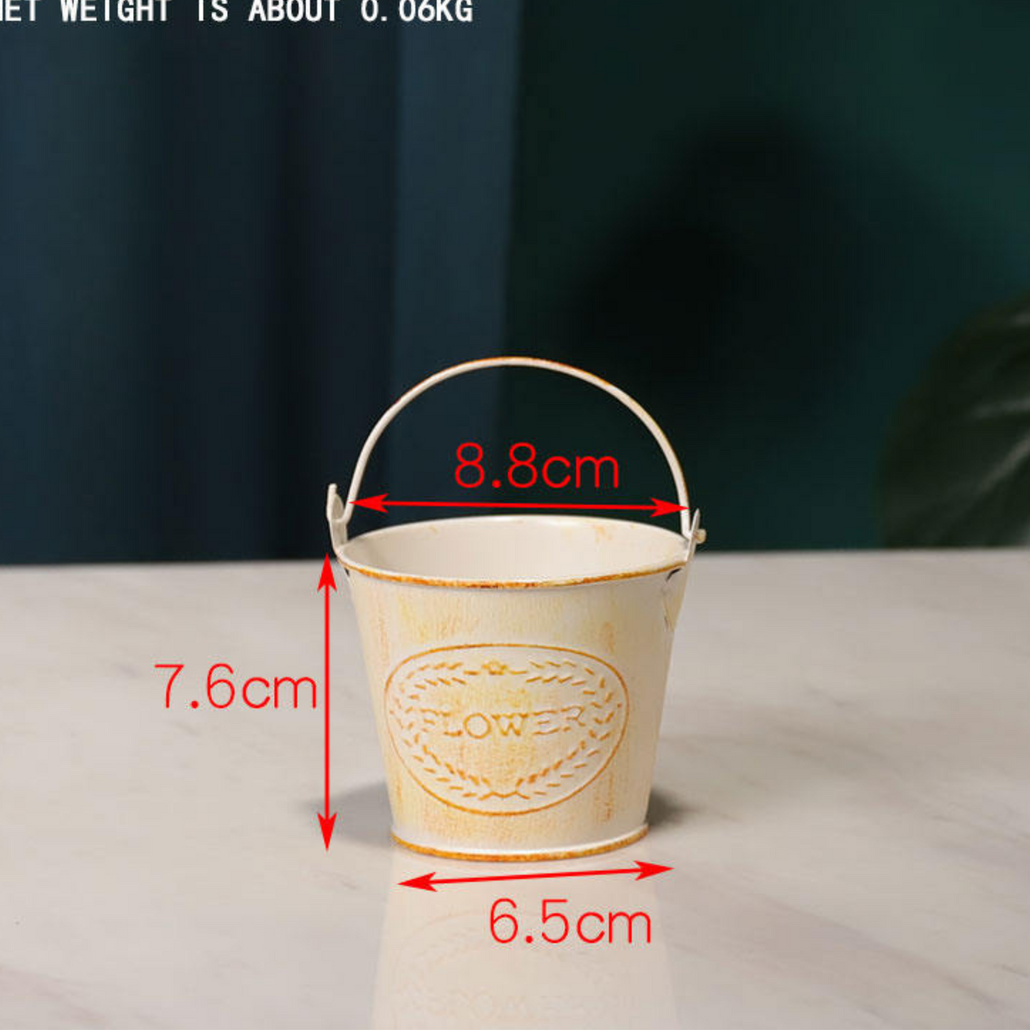 Mini Garden Buckets for Indoor Plants