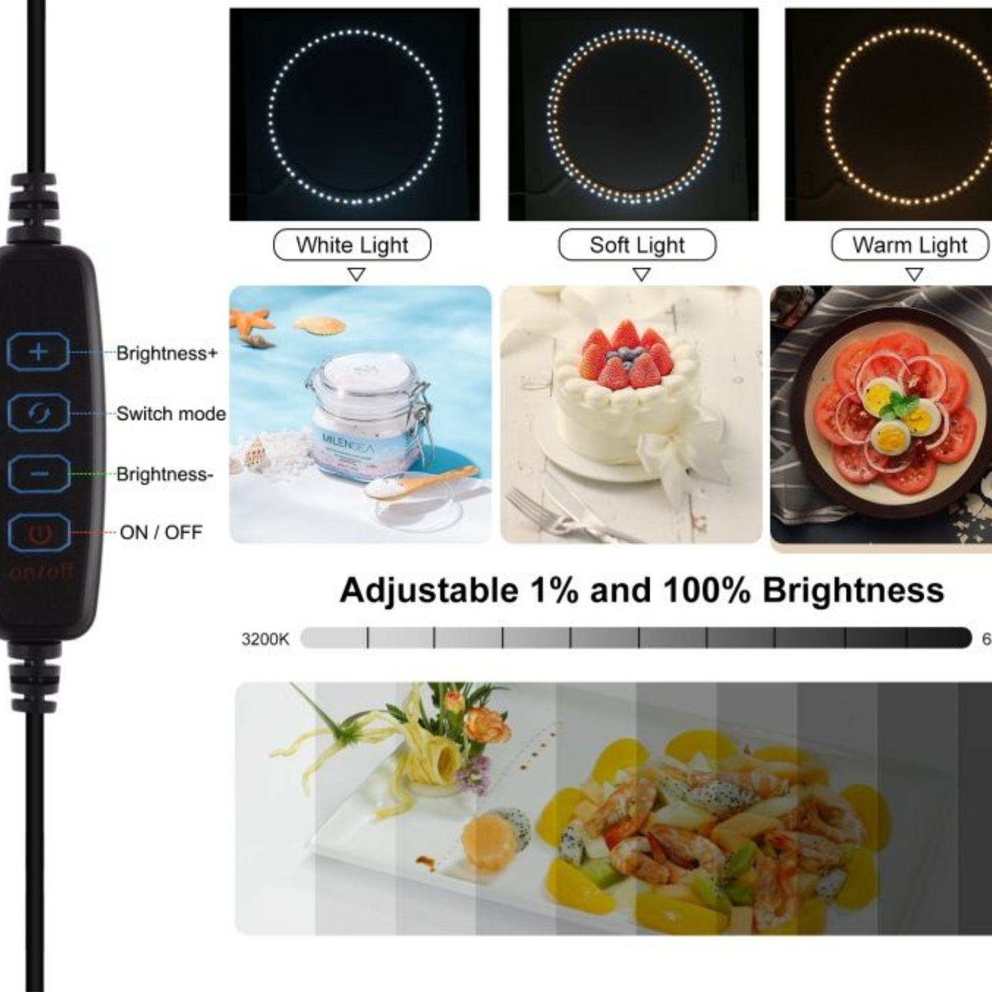 Folding Photo Light Box