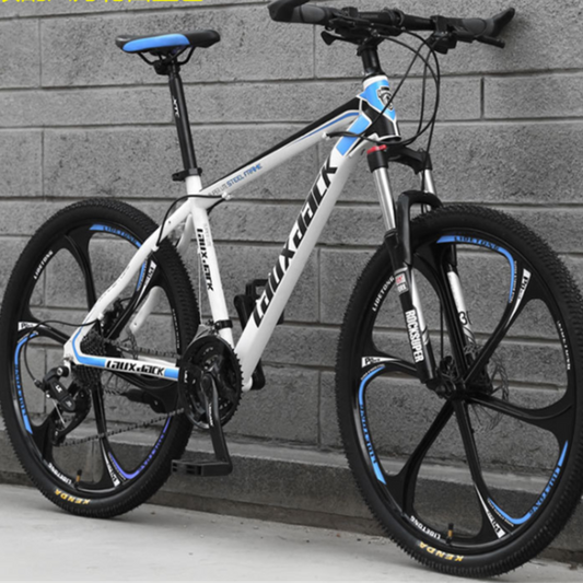 Aluminum Alloy Steel Wheels for Bikes