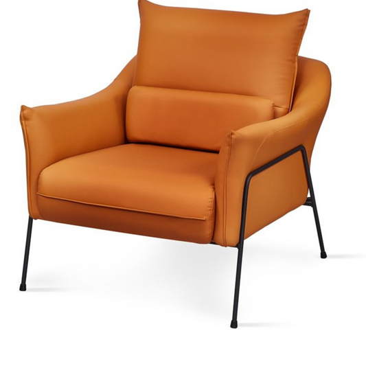 Living Room Seating Chairs and Sofa